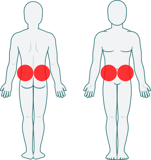 Quadril